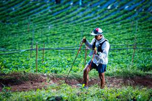 BIB: 
                            <button type="button" onclick="openModal(19159994)" class="btn btn-primary btn-sm float-right btn-popup" data-toggle="modal" data-target=".modal-high-quality">
                        <i class="fas fa-shopping-cart"></i> Add to Cart
                    </button>
                                            <button type="button" onclick="isThisMe(19159994, true)" class="btn btn-success btn-sm float-right btn-popup btn-isme hidden" data-toggle="tooltip" data-placement="bottom" title="นี่คือรูปของคุณใช่ไหม คลิกที่นี่เพื่อเอาเข้าอัลบั้ม">
                        <i class="fas fa-plus"></i> Add to album
                    </button>
                    <button type="button" onclick="isThisMe(19159994, false)" class="btn btn-warning btn-sm float-right btn-popup btn-isnotme hidden">
                        <i class="fas fa-ban"></i> Remove from album
                    </button>